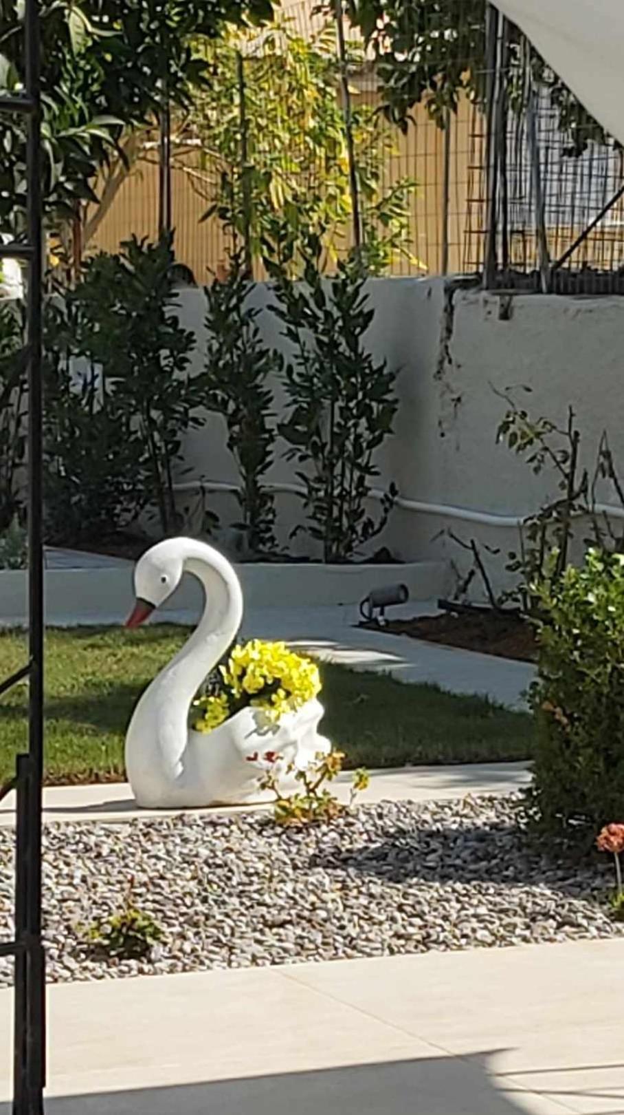 Fiore , 200m From Square Сasa de vacaciones Argostoli (Kefalonia)